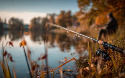 Angeln ohne Angelschein: Wo und wie du legal ohne Erlaubnis fischen kannst